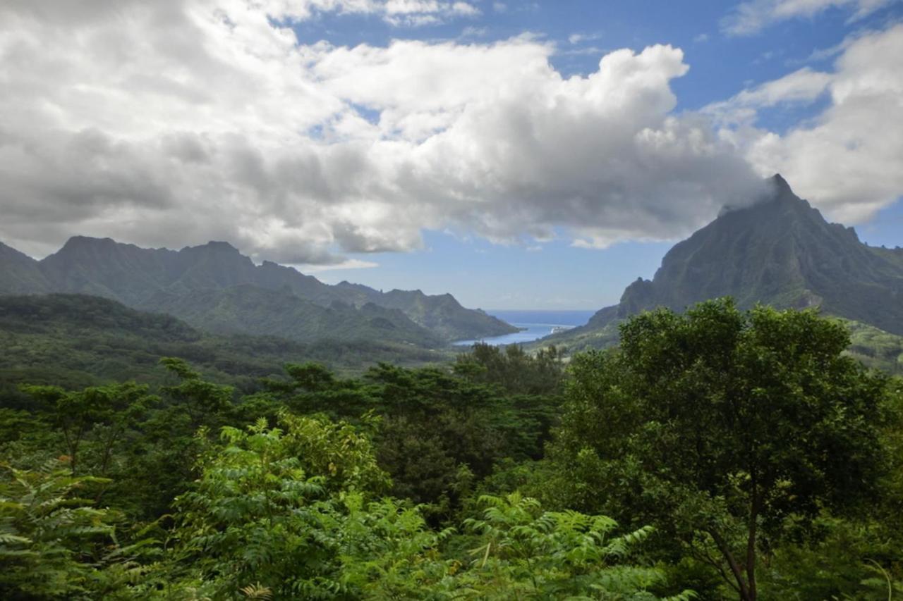 شقة Auti Studio Direct Access To The Beach On Moorea With Ac -Wifi - Netflix آبيتي المظهر الخارجي الصورة